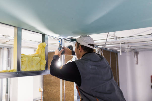 Best Attic Insulation Near Me  in Wellington, FL