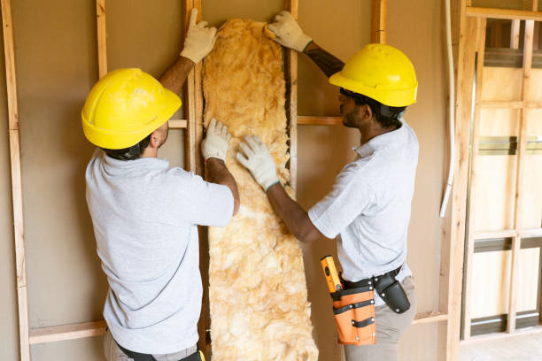 Best Insulation Inspection Services  in Wellington, FL