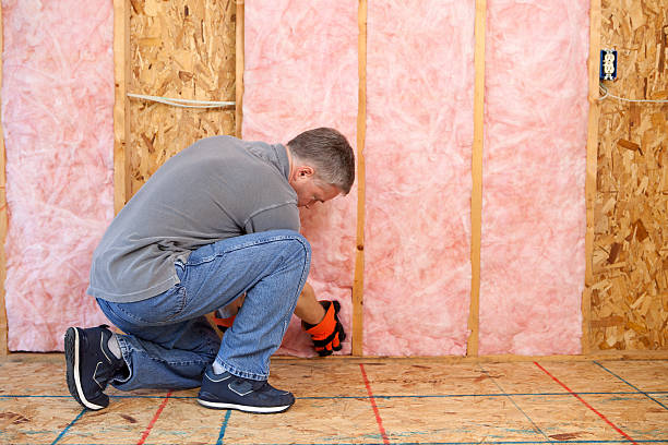 Best Home Insulation Services  in Wellington, FL