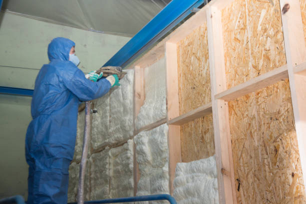 Best Professional Insulation Contractor  in Wellington, FL